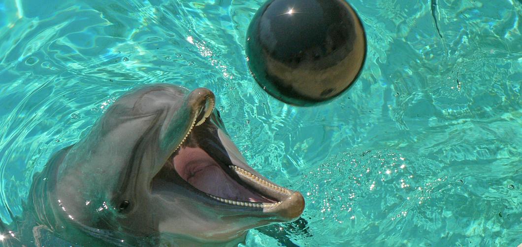 Marineland