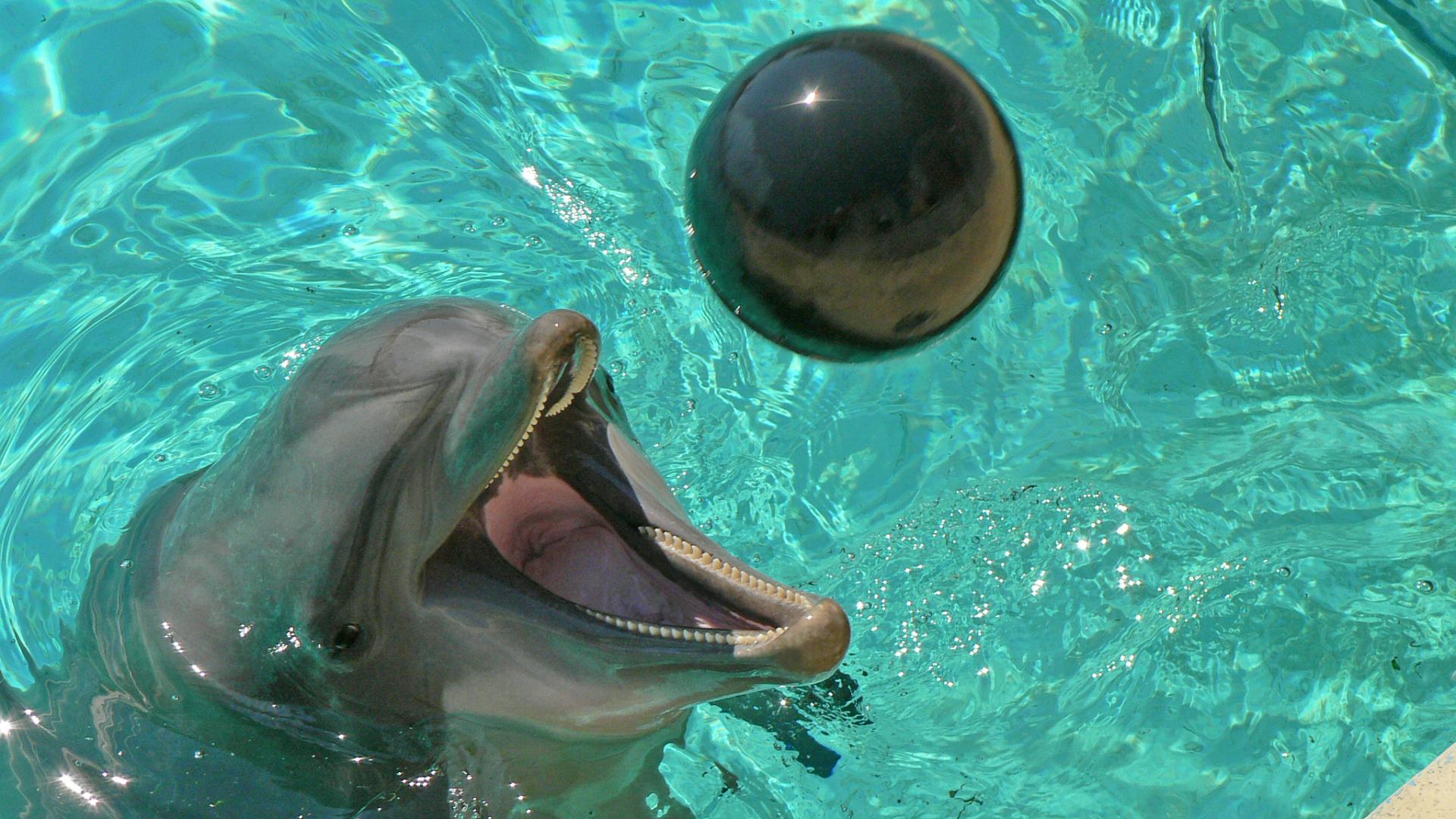 Marineland