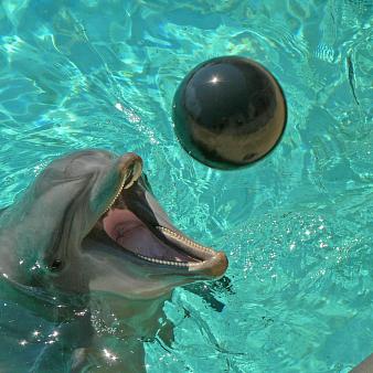 Marineland