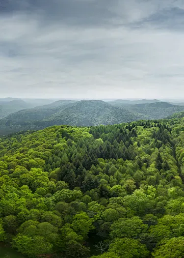 Engagé pour l’environnement