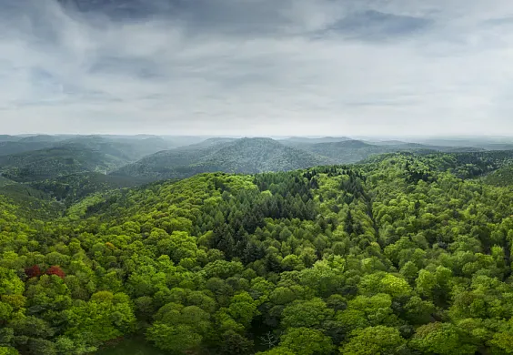 Engagé pour l’environnement