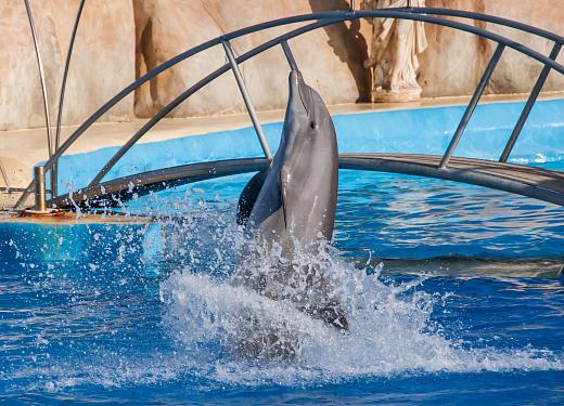 Waterparks near Malgrat de Mar