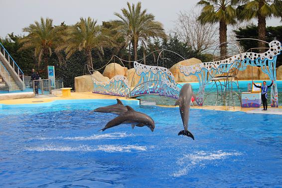 Parques acuáticos cerca de Malgrat de Mar